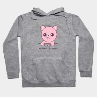 Kawaii Stuffed Bear Hoodie